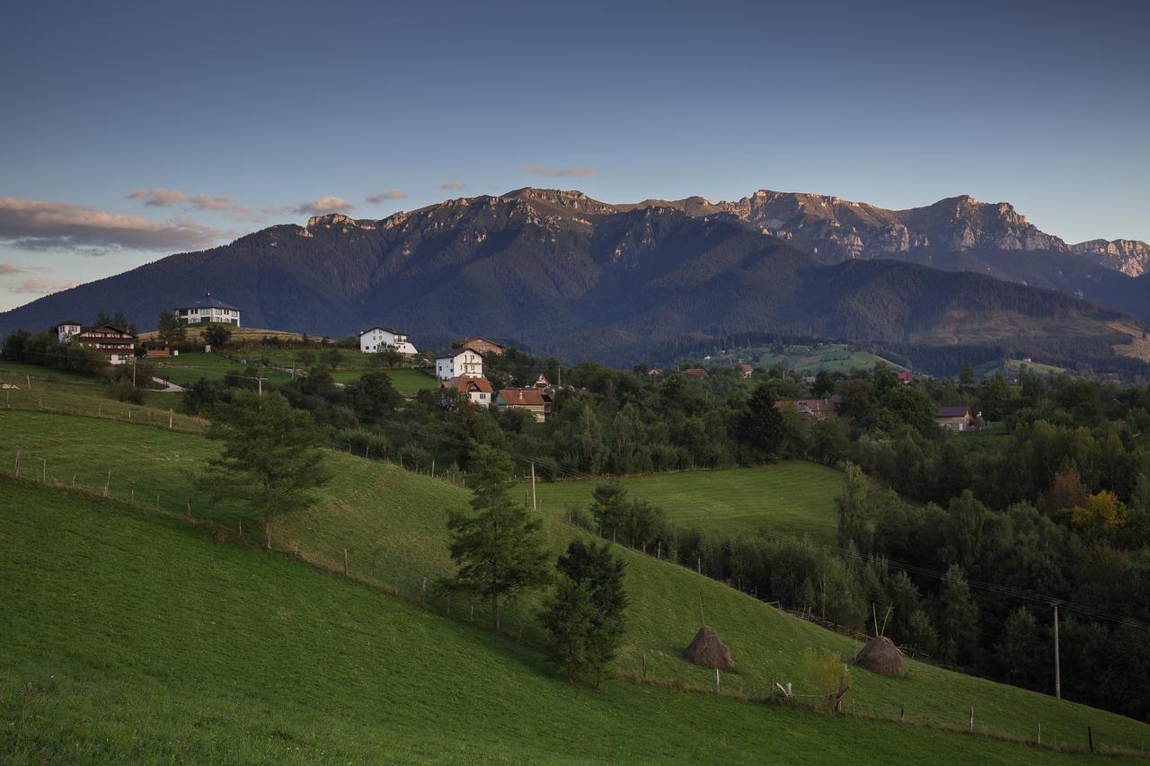 Bran Monte Crai Chalet Екстериор снимка