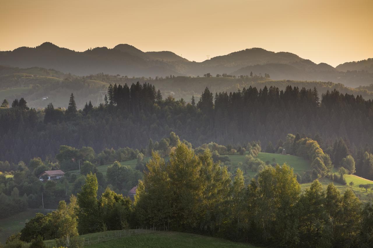 Bran Monte Crai Chalet Екстериор снимка