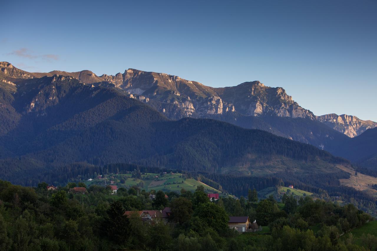 Bran Monte Crai Chalet Екстериор снимка