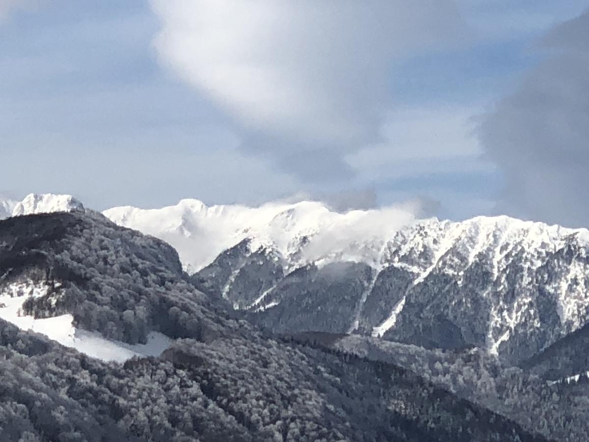 Bran Monte Crai Chalet Екстериор снимка